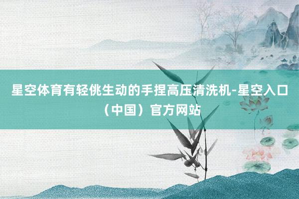 星空体育有轻佻生动的手捏高压清洗机-星空入口（中国）官方网站